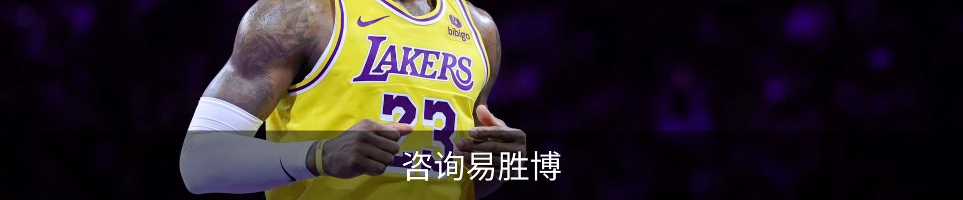 咨询易胜博
